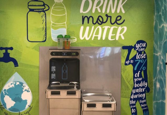 Healthy Travel Tips - How I got searched?!